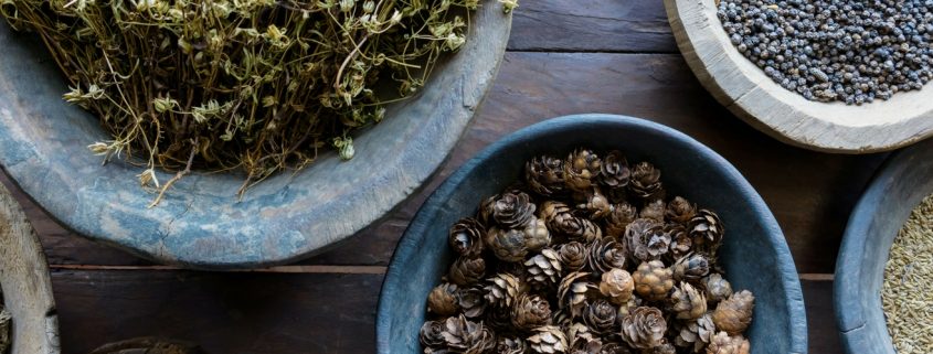 Zest Natural Health Store